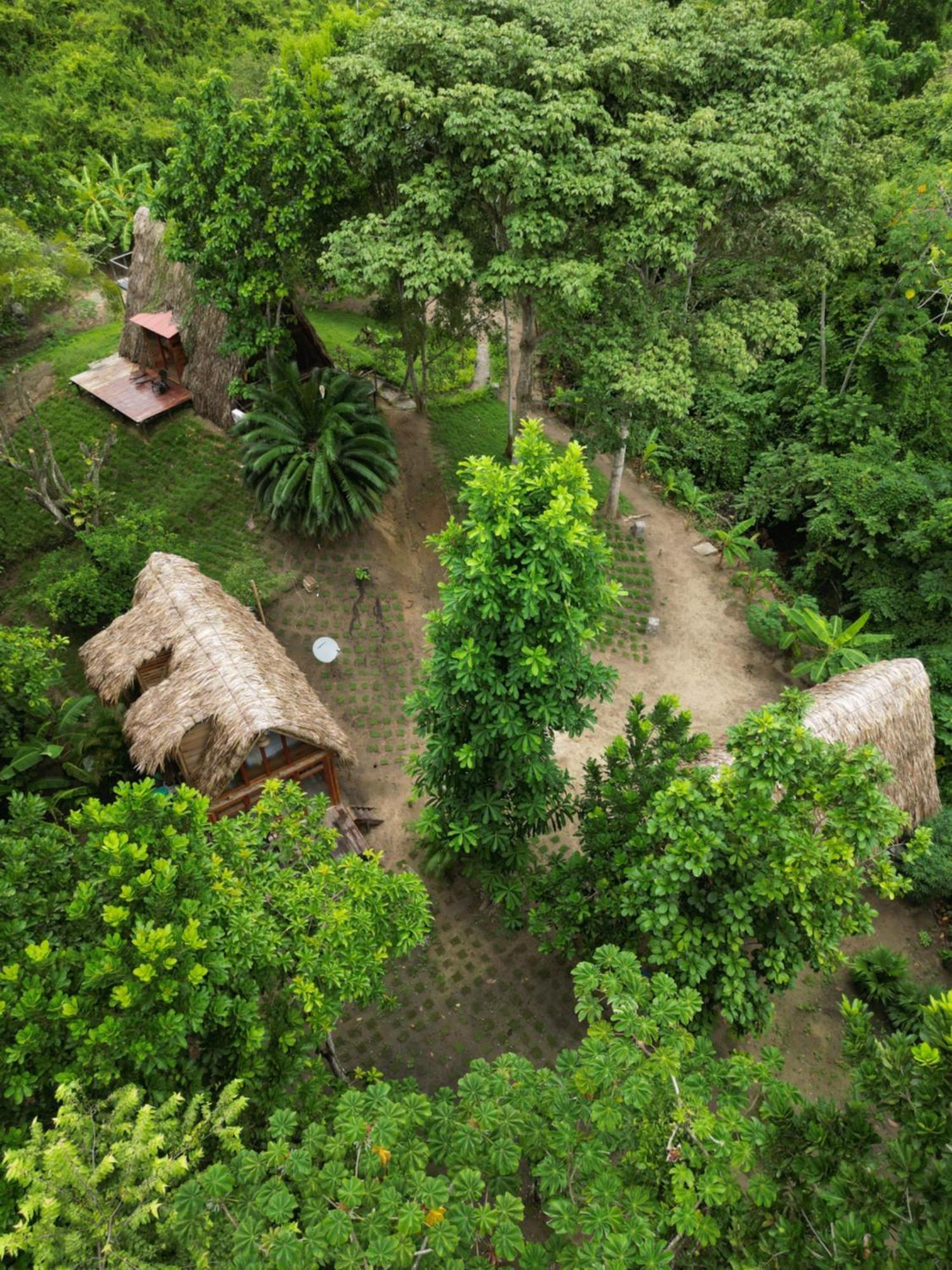 Tiny Houses Unique Tayrona - Dentro Del Parque Tayrona Zaino Kültér fotó
