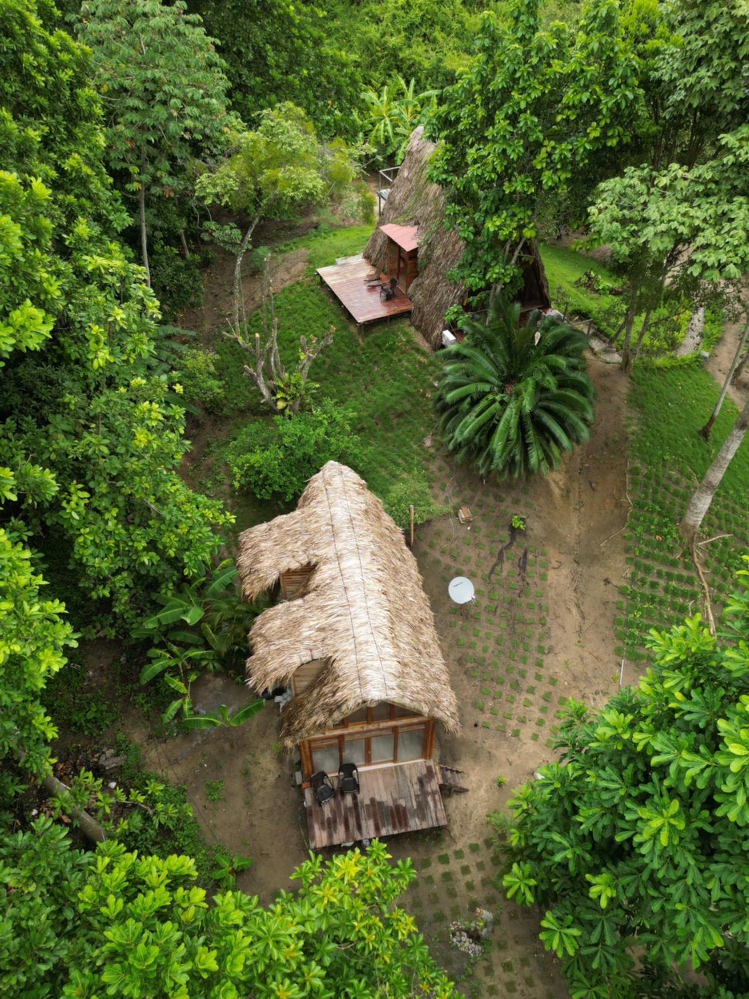 Tiny Houses Unique Tayrona - Dentro Del Parque Tayrona Zaino Kültér fotó
