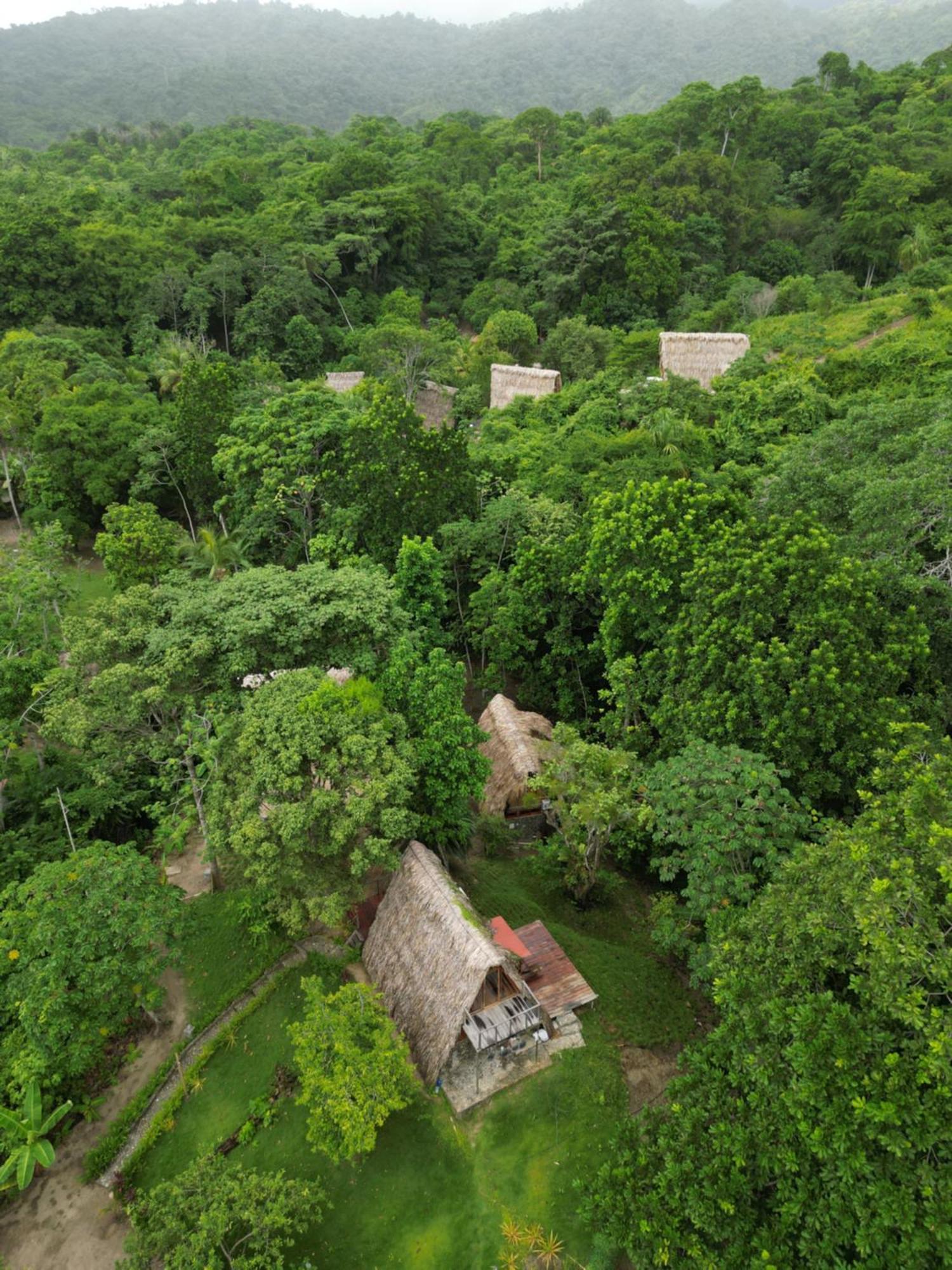 Tiny Houses Unique Tayrona - Dentro Del Parque Tayrona Zaino Kültér fotó
