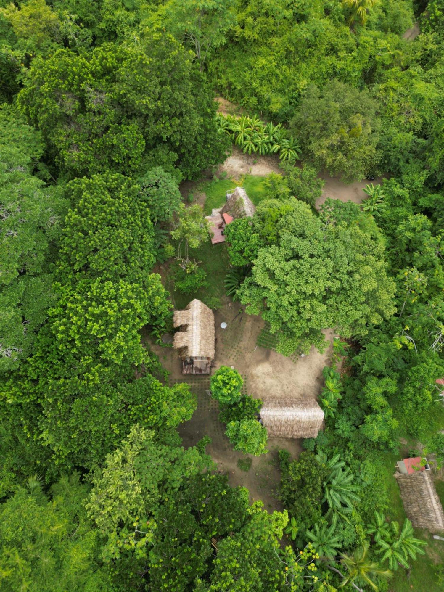 Tiny Houses Unique Tayrona - Dentro Del Parque Tayrona Zaino Kültér fotó