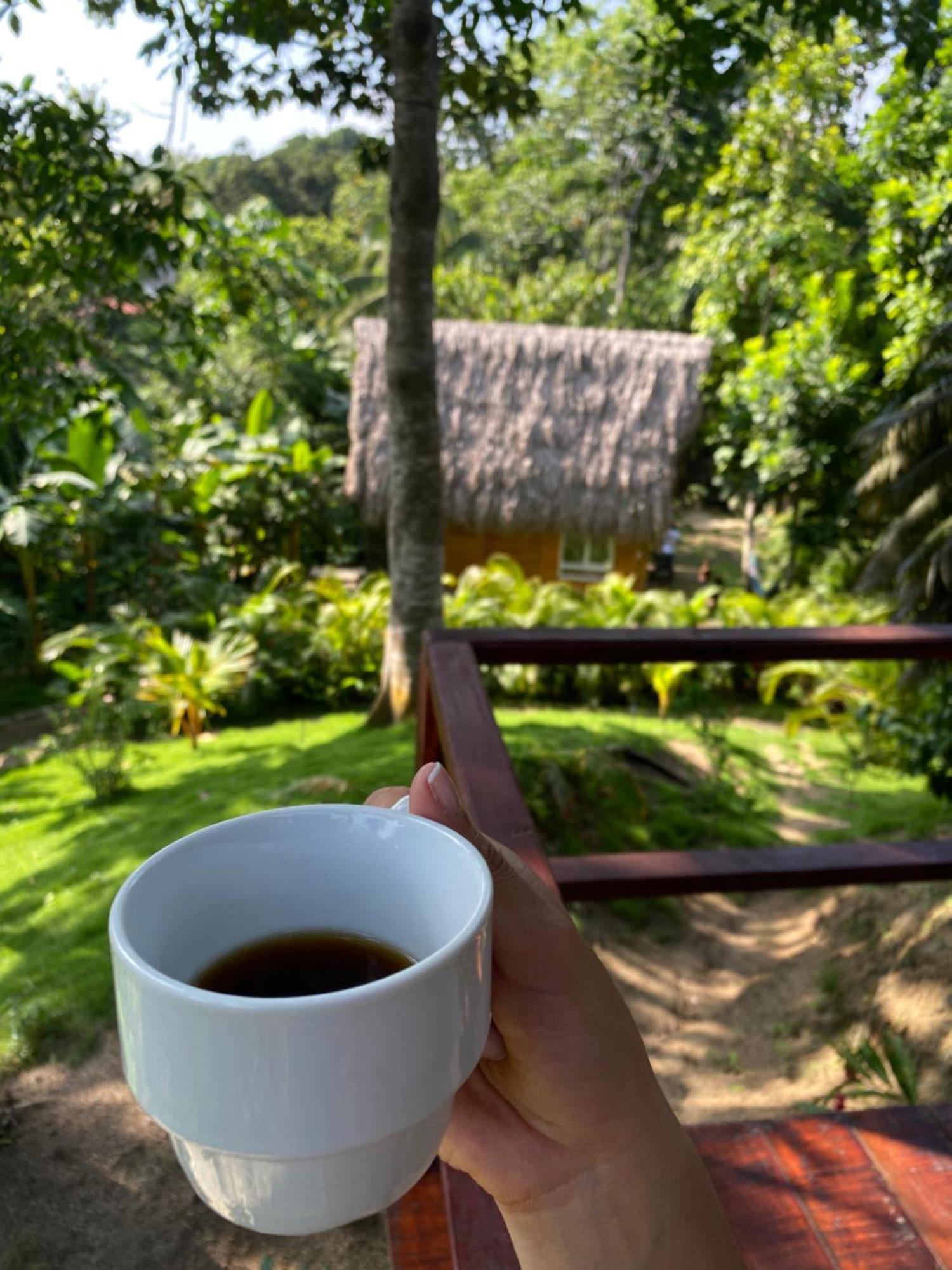 Tiny Houses Unique Tayrona - Dentro Del Parque Tayrona Zaino Kültér fotó
