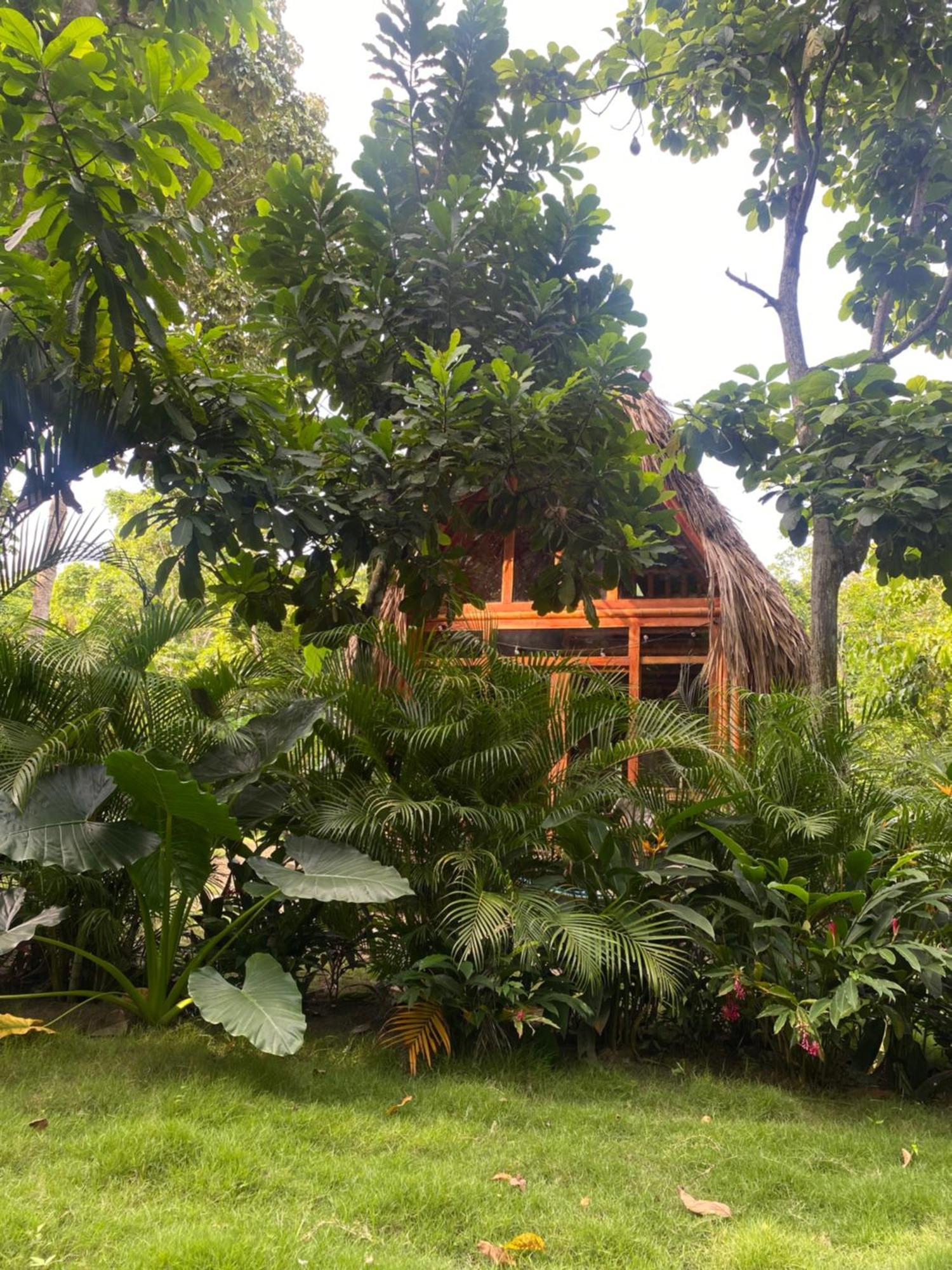 Tiny Houses Unique Tayrona - Dentro Del Parque Tayrona Zaino Kültér fotó
